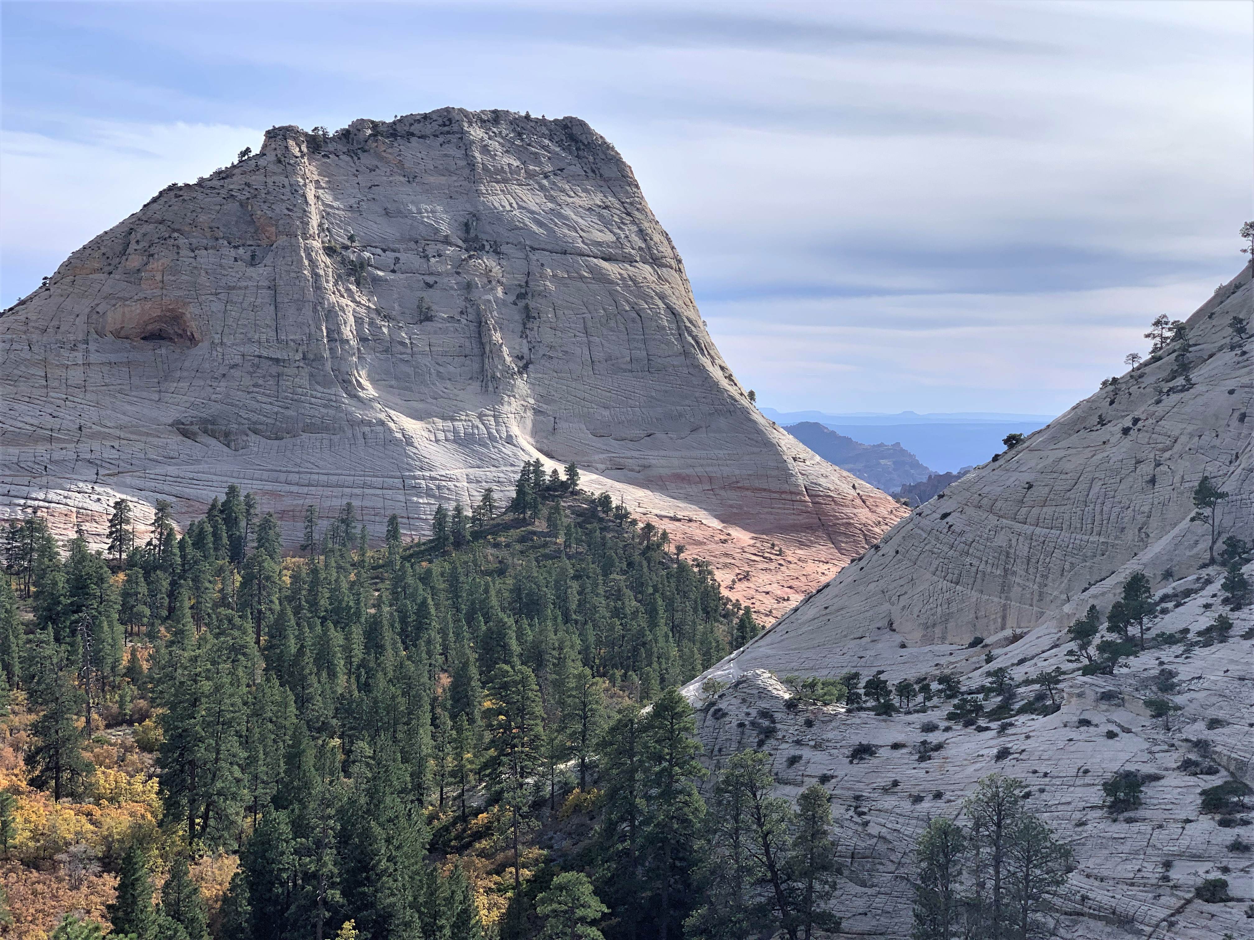 Zion NP